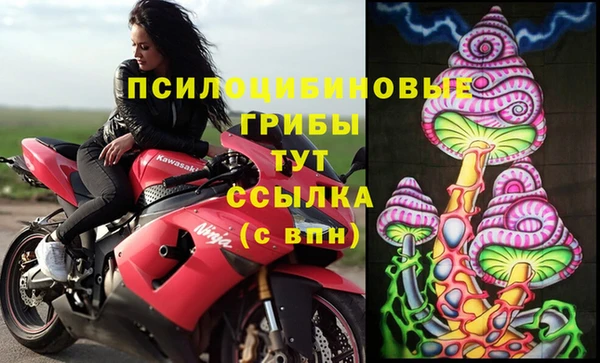 ешки Дрезна