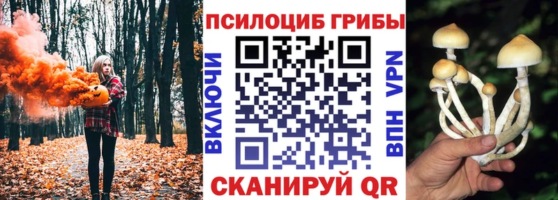 Галлюциногенные грибы мухоморы  мега сайт  Боровск 